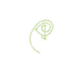 Celtic Knot Clover - Fill Stitch - Machine Embroidery Design