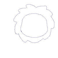 Safari Lion Boy - Applique - Machine Embroidery Design