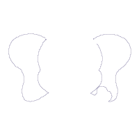 Elephant Face Boy - Applique - Machine Embroidery Design