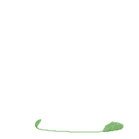 Safari Tiger Boy - Fill Stitch - Machine Embroidery Design