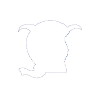 Elephant Boy - Applique