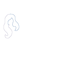 It's All a Bunch of Hocus Pocus - Applique