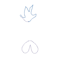 Lady Chicken - Applique - Machine Embroidery Design