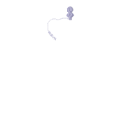 Royal Frame with Bow - Applique