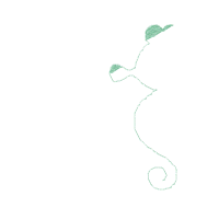 Seahorses in Love - Fill Stitch