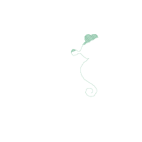 Seahorse Together is a Wonderful Place to be - Fill Stitch