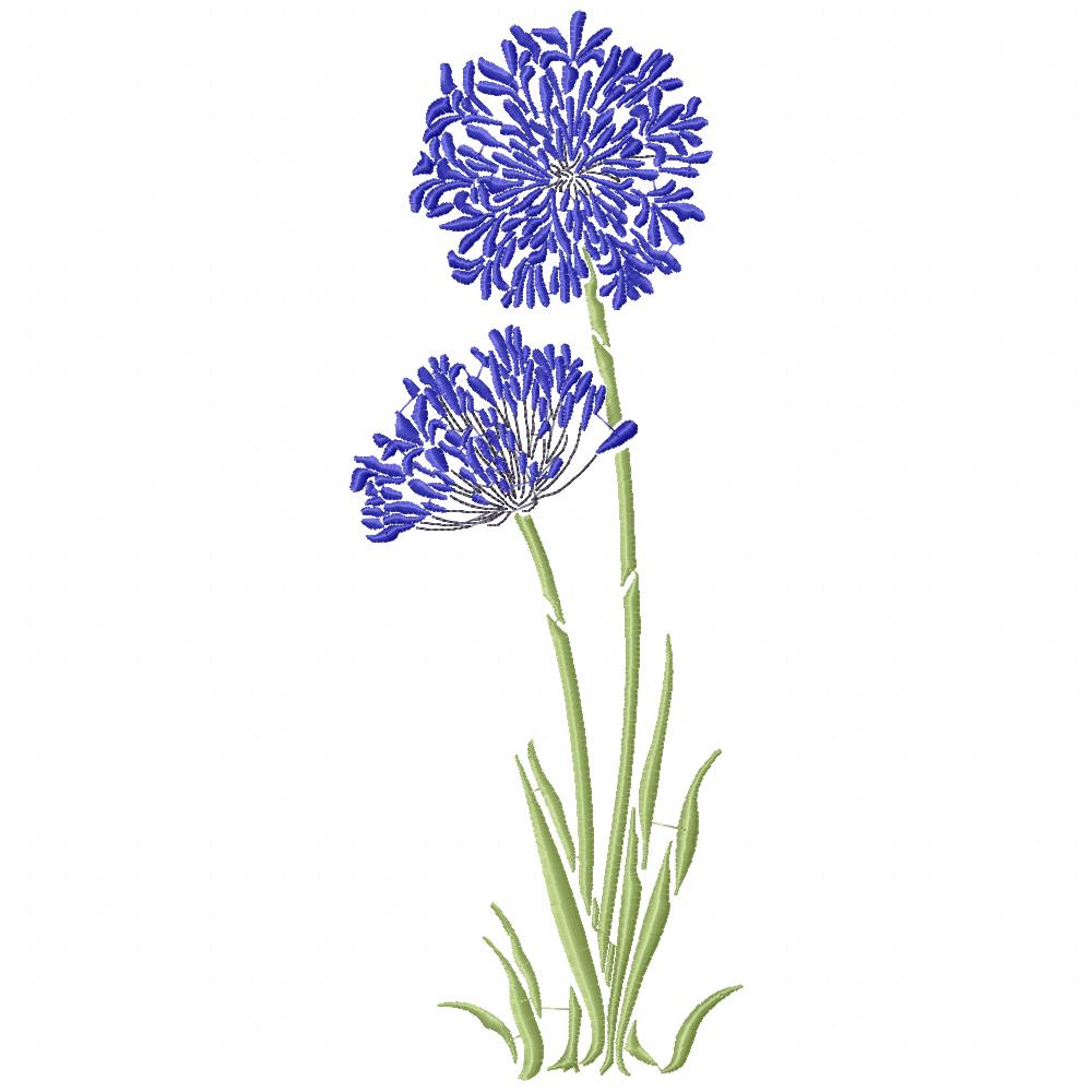 Agapanthus Flower - Fill Stitch - Machine Embroidery Design