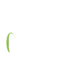 Beach Vibes Only - Fill Stitch - Machine Embroidery Design