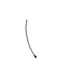 Dandelion Wished For - Fill Stitch - Machine Embroidery Design