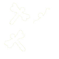 Dragonfly Catcher Ornament - ITH Project - Machine Embroidery Design