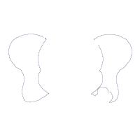Elephant Face Girl - Applique - Machine Embroidery Design