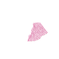 Fairy Butterfly Skull - Fill Stitch