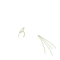 Rose Flowers Bouquet - Fill Stitch - Machine Embroidery Design