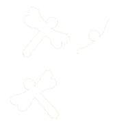 Dragonfly Frog Catcher Ornament - ITH Project - Machine Embroidery Design