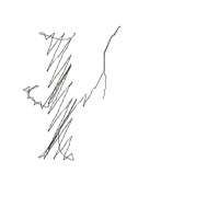 Wizard Boy HP - Fill Stitch Machine Embroidery Design