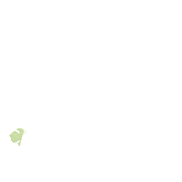 Animals Safari Zebra, Tiger and Giraffe - Fill Stitch - Machine Embroidery Design