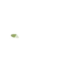 Sea Turtle Boy - Fill Stitch - Machine Embroidery Design