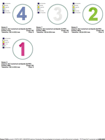 Numerical Centipede - ITH Project - Machine Embroidery Design