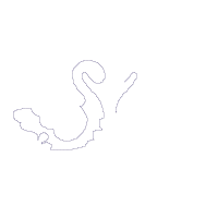 Swan Couple - Applique Embroidery