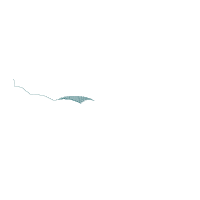 Blooming Umbrella & "Stronger Than the Storm" 🌸☔ - Sketch Stitch - Machine Embroidery Design