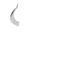 Viking - Fill Stitch - Machine Embroidery Design