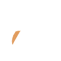 Halloween Witch Pumpkin - Rippled Stitch - Machine Embroidery Design