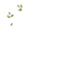 Couple of birds in the frame - Fill Stitch - 5 Sizes - Machine Embroidery