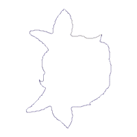 Highland Cow - ITH Project - Machine Embroidery Design