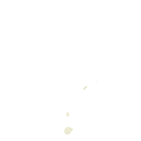 Animals Safari Lion, Elephant, Giraffe and Zebra - Rippled Stitch