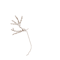 Autism Tree - Fill Stitch - Machine Embroidery Design