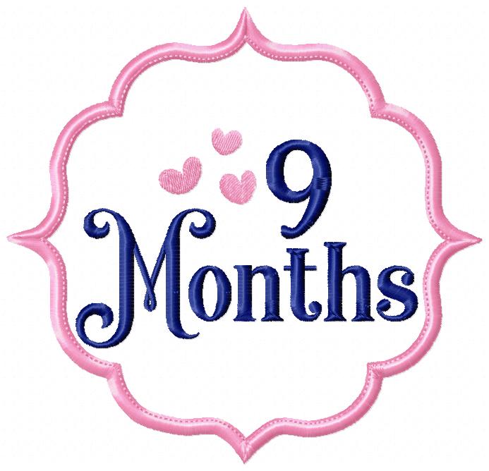Baby Monthly Onesie - Applique