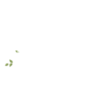 Birds on a Branch - Fill Stitch Embroidery