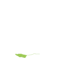 Chicken with Big Bow - Applique Embroidery