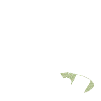 Bunny Boy in the Garden - Applique