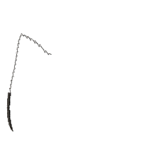 Caticorn - Satin Stitch