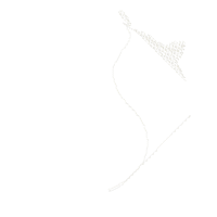 Cat Yin Yang - Fill Stitch