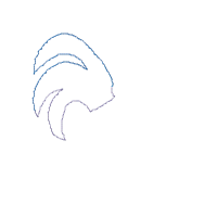 Chicken and Flowers - Applique