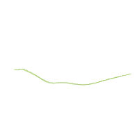 Christmas Bird - Rippled