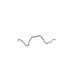 Christmas Teddy Bear wit Hat - Rippled Stitch - Machine Embroidery Design