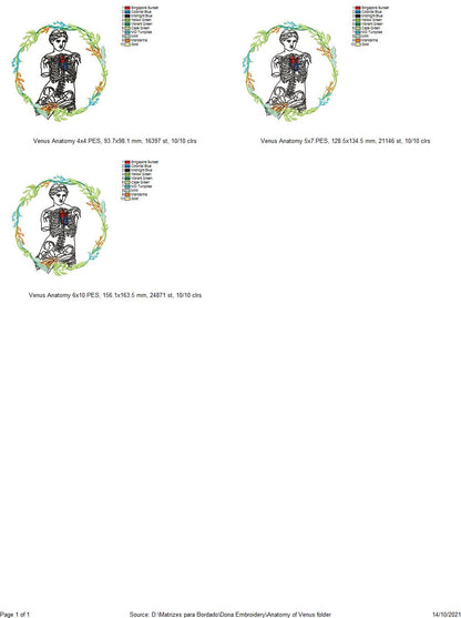 Anatomy of Venus - Fill Stitch