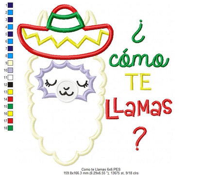 Mexican Llama ¿Como te Llamas? - Applique