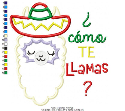 Mexican Llama ¿Como te Llamas? - Applique