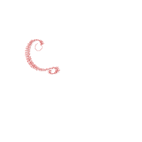 Cupid's Sidekick - Fill Stitch