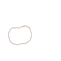 Cutest Pumpkin in the Patch - Applique