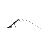 Stegosaurus Dinosaur Skeleton - Satin Stitch