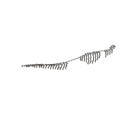 Tyrannosaurus Rex Dinosaur Skeleton - Satin Stitch