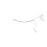 Easter Bunny Boy with Carrots - Fill Stitch