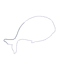 Unicorn Whale - Applique