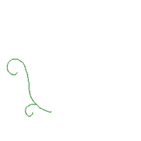 Flowers Frame - Fill Stitch - Machine Embroidery Design