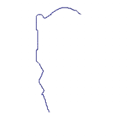 Honey Spring Bear - ITH Project - Machine Embroidery Design